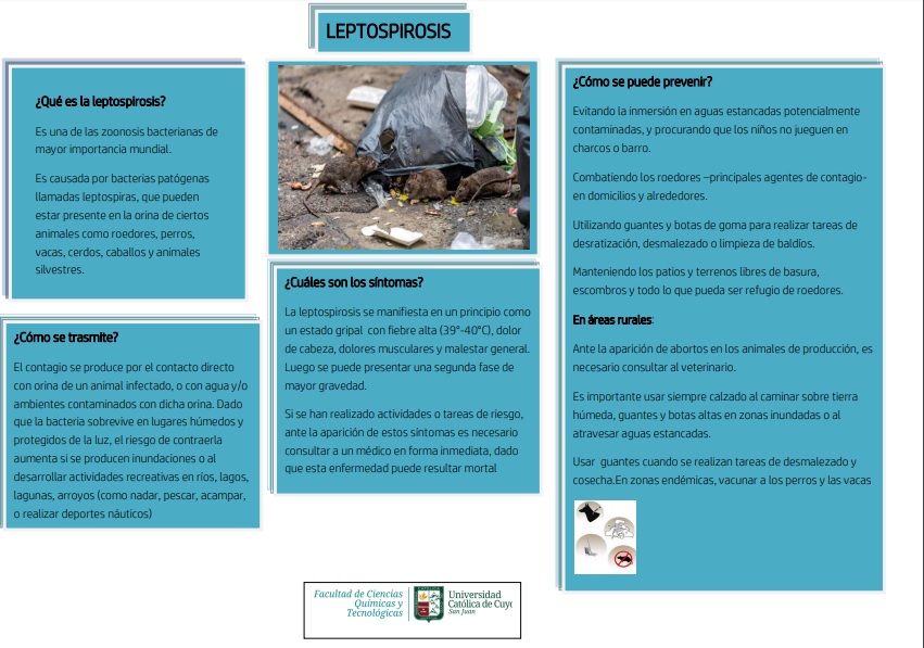 Leptospirosis.jpg
